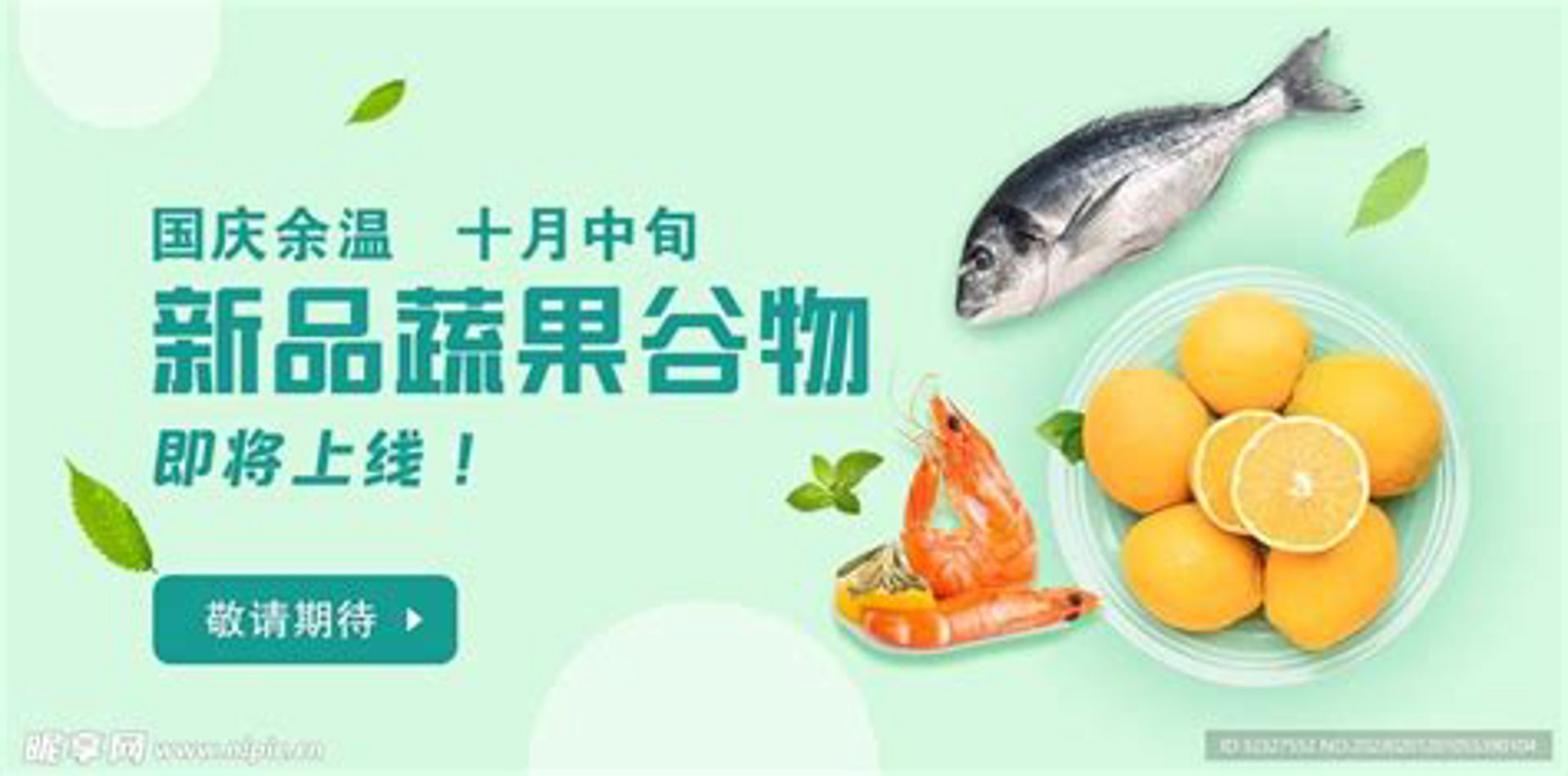 茜辞电子商务